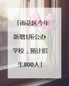 雨花区今年新增1所公办学校，预计招生800人