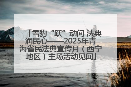 雪豹“跃”动间 法典润民心——2025年青海省民法典宣传月（西宁地区）主场活动见闻