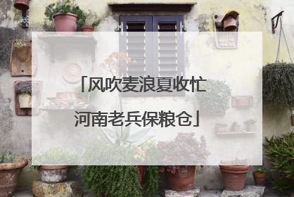 风吹麦浪夏收忙 河南老兵保粮仓