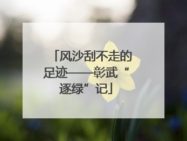 风沙刮不走的足迹——彰武“逐绿”记