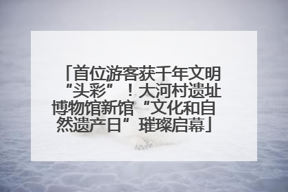 首位游客获千年文明“头彩”！大河村遗址博物馆新馆“文化和自然遗产日”璀璨启幕