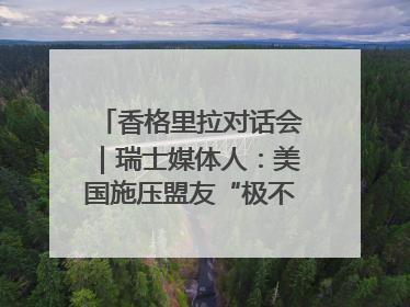 香格里拉对话会｜瑞士媒体人：美国施压盟友“极不理性” 欧洲国家无意与中国“脱钩断链”