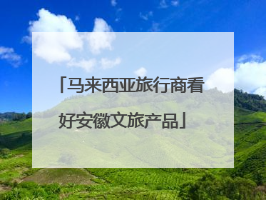 马来西亚旅行商看好安徽文旅产品