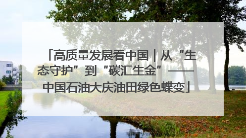高质量发展看中国｜从“生态守护”到“碳汇生金”——中国石油大庆油田绿色蝶变