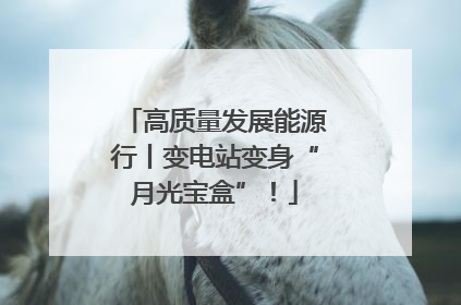 高质量发展能源行丨变电站变身“月光宝盒”！
