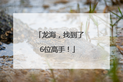 龙海，找到了6位高手！