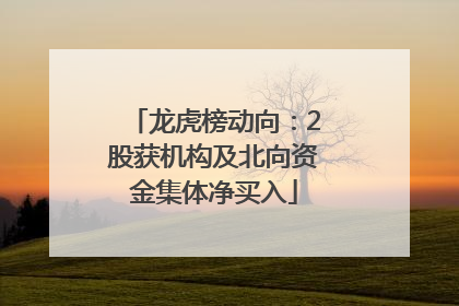 龙虎榜动向：2股获机构及北向资金集体净买入