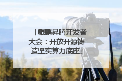 鲲鹏昇腾开发者大会：开放开源铸造坚实算力底座
