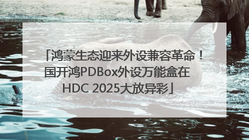 鸿蒙生态迎来外设兼容革命！国开鸿PDBox外设万能盒在HDC 2025大放异彩