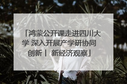 鸿蒙公开课走进四川大学 深入开展产学研协同创新丨 新经济观察