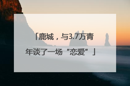 鹿城，与3.7万青年谈了一场“恋爱”