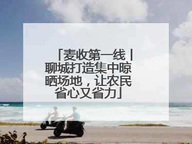 麦收第一线丨聊城打造集中晾晒场地，让农民省心又省力