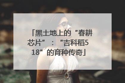 黑土地上的“春耕芯片”：“吉科稻518”的育种传奇