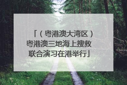 （粤港澳大湾区）粤港澳三地海上搜救联合演习在港举行