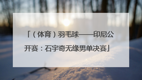 （体育）羽毛球——印尼公开赛：石宇奇无缘男单决赛