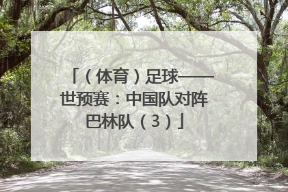 （体育）足球——世预赛：中国队对阵巴林队（3）