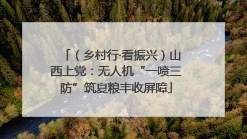 （乡村行·看振兴）山西上党：无人机“一喷三防”筑夏粮丰收屏障