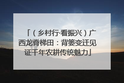（乡村行·看振兴）广西龙脊梯田：背篓变迁见证千年农耕传统魅力