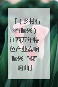 （乡村行·看振兴）江西万年特色产业奏响振兴“椒”响曲