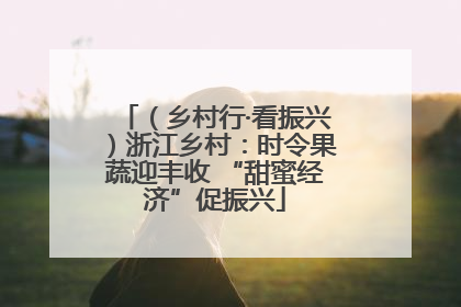 （乡村行·看振兴）浙江乡村：时令果蔬迎丰收 “甜蜜经济”促振兴