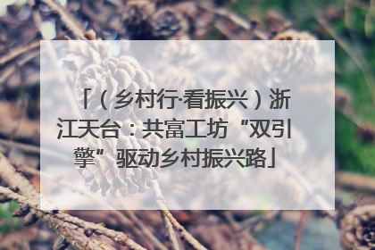（乡村行·看振兴）浙江天台：共富工坊“双引擎”驱动乡村振兴路