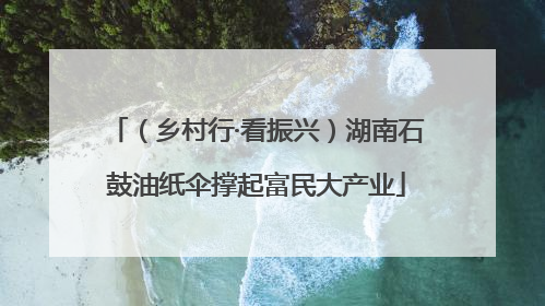 （乡村行·看振兴）湖南石鼓油纸伞撑起富民大产业