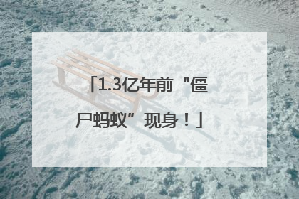 1.3亿年前“僵尸蚂蚁”现身！