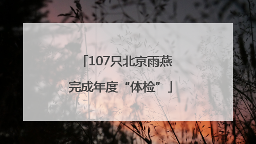 107只北京雨燕完成年度“体检”