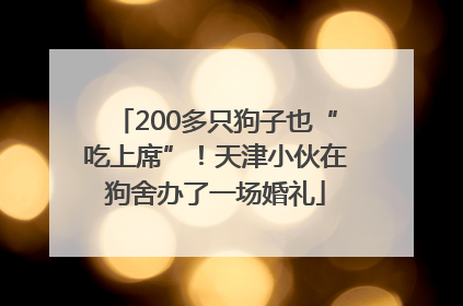 200多只狗子也“吃上席”！天津小伙在狗舍办了一场婚礼