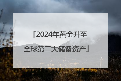 2024年黄金升至全球第二大储备资产