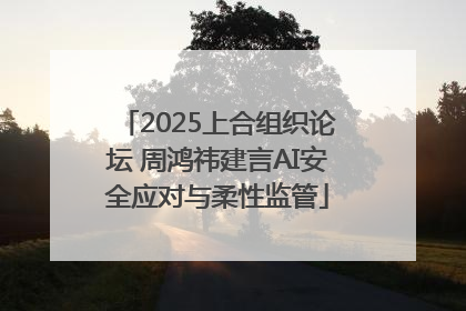 2025上合组织论坛 周鸿祎建言AI安全应对与柔性监管