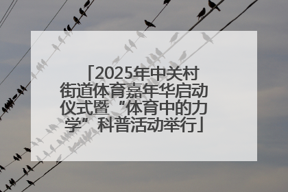 2025年中关村街道体育嘉年华启动仪式暨“体育中的力学”科普活动举行