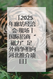 2025年廊坊经洽会·现场丨国际招商“磁力”足 外商争相向河北推介项目