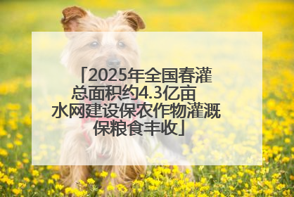 2025年全国春灌总面积约4.3亿亩 水网建设保农作物灌溉 保粮食丰收
