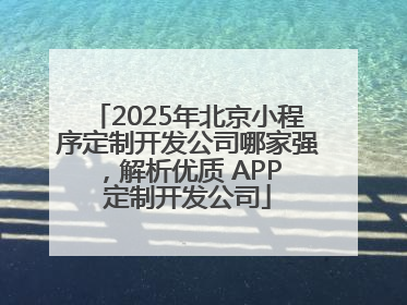 2025年北京小程序定制开发公司哪家强，解析优质 APP 定制开发公司