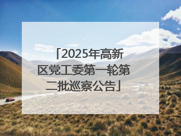 2025年高新区党工委第一轮第二批巡察公告