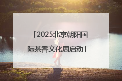 2025北京朝阳国际茶香文化周启动