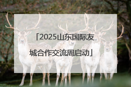 2025山东国际友城合作交流周启动