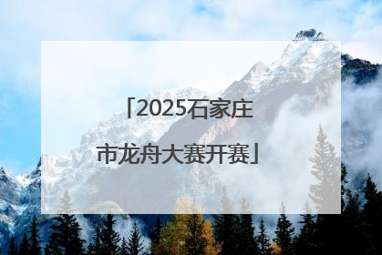 2025石家庄市龙舟大赛开赛