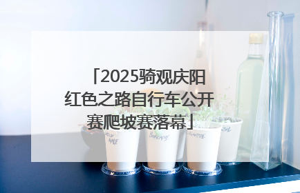 2025骑观庆阳红色之路自行车公开赛爬坡赛落幕