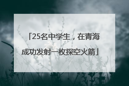 25名中学生，在青海成功发射一枚探空火箭