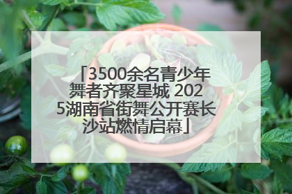 3500余名青少年舞者齐聚星城 2025湖南省街舞公开赛长沙站燃情启幕