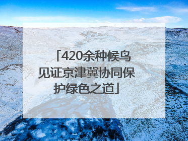 420余种候鸟见证京津冀协同保护绿色之道