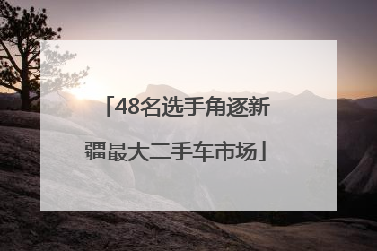48名选手角逐新疆最大二手车市场