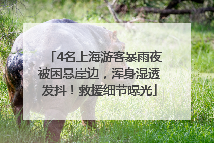 4名上海游客暴雨夜被困悬崖边，浑身湿透发抖！救援细节曝光