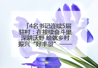 4名书记连续5届驻村：在接续奋斗里深耕沃野 绘就乡村振兴“好丰景”——浦发银行南京分行助力脱贫攻坚、帮促乡村振兴记事（二）
