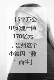 5平方公里实现产值170亿元，贵州这个小镇因“数”而生