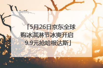 5月26日京东全球购冰淇淋节冰爽开启 9.9元抢哈根达斯
