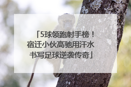 5球领跑射手榜！宿迁小伙高驰用汗水书写足球逆袭传奇