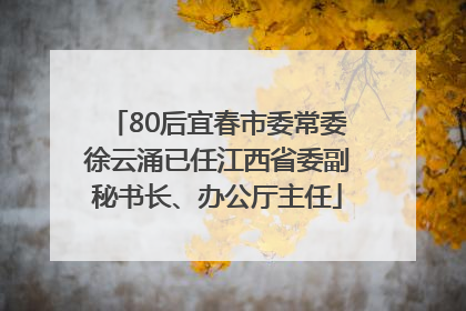 80后宜春市委常委徐云涌已任江西省委副秘书长、办公厅主任